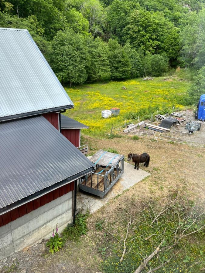 Bjorkely Gard Apartment Rasvag Exterior photo